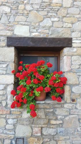 Apartamento Casa Castel Turismo Rural