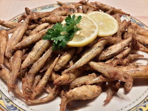 Hostal Casa Rural Mol� de F�rnols