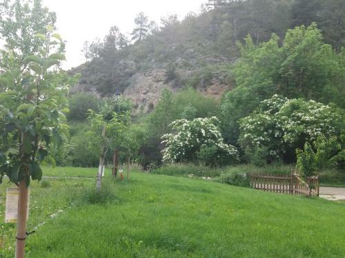 Hostal Casa Rural Mol� de F�rnols