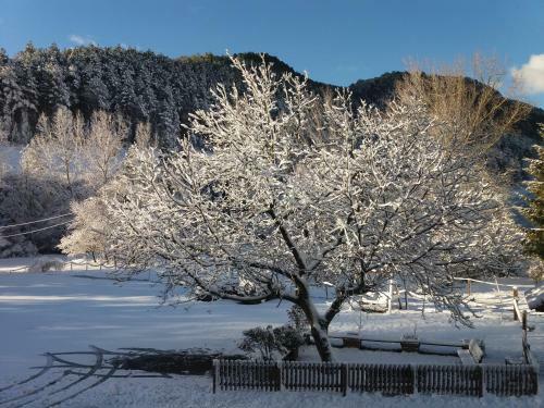 Hostal Casa Rural Mol� de F�rnols