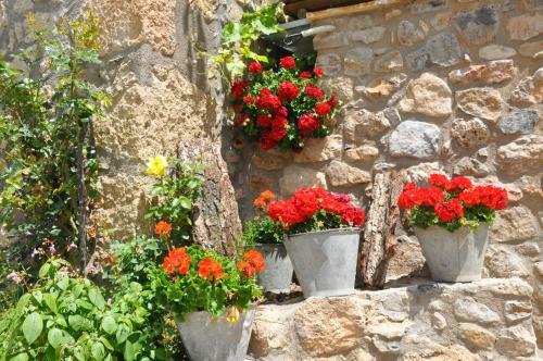 Hostal Casa Rural Mol� de F�rnols