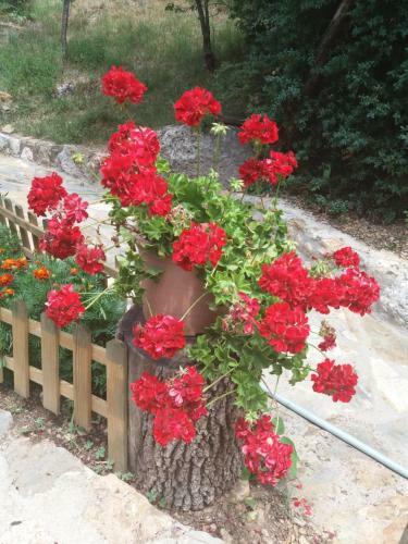 Hostal Casa Rural Mol� de F�rnols