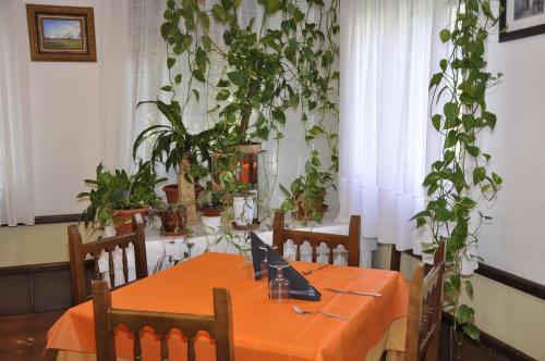 Hotel Castillo D'acher