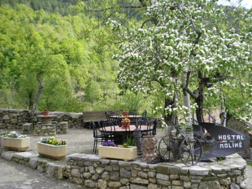 Hostal Molin�