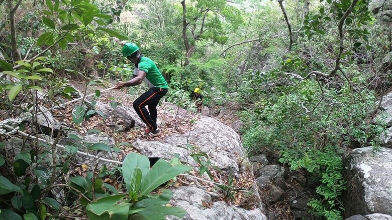 Hotel Arangala Forest Lodge