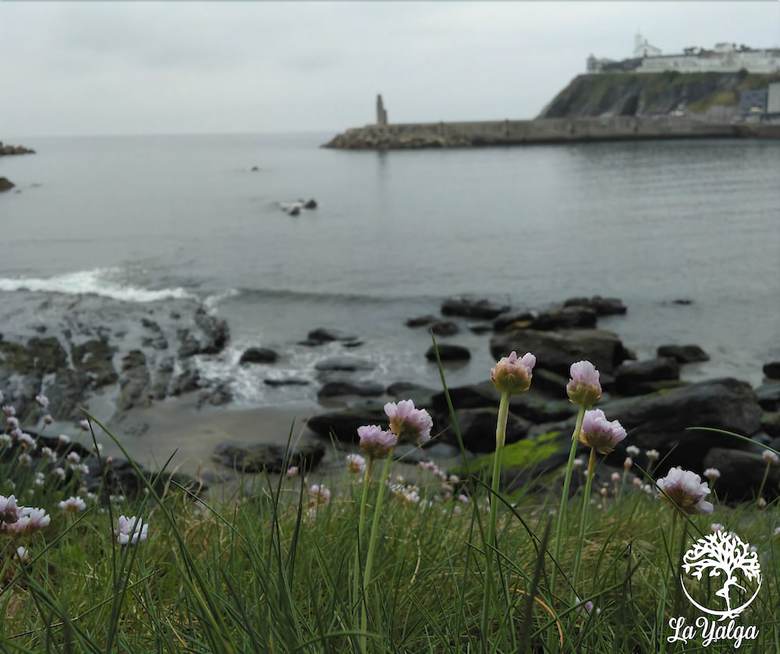 Hostal Albergue La Yalga