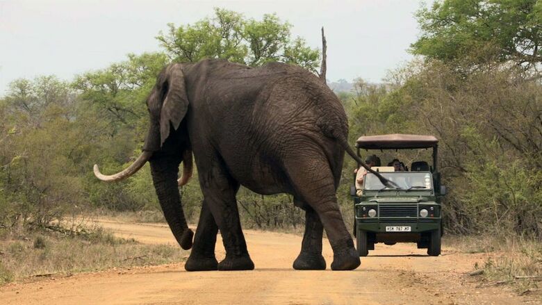 Posada Kruger Park Tours