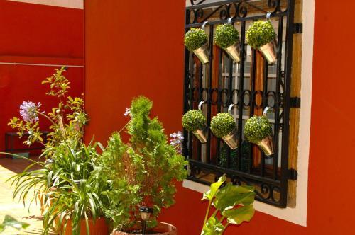 Hostal Cervantes