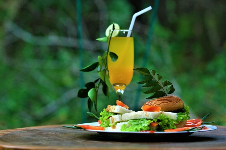 Yala Wilderness Safari Camp