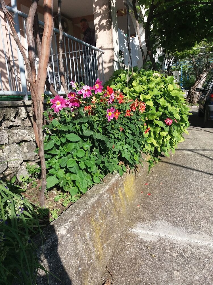 Apartmani Mitrovic Podlicak