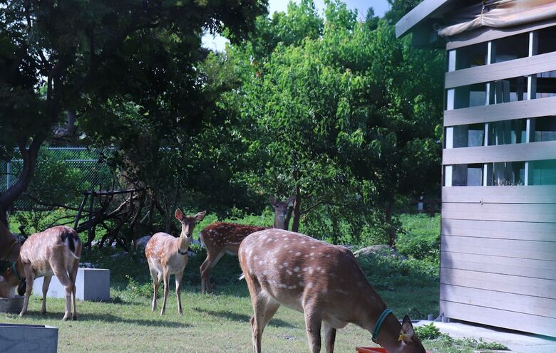 Hotel Song Qian Brigade