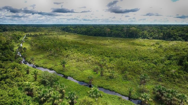Hotel Ecoamazonia Lodge