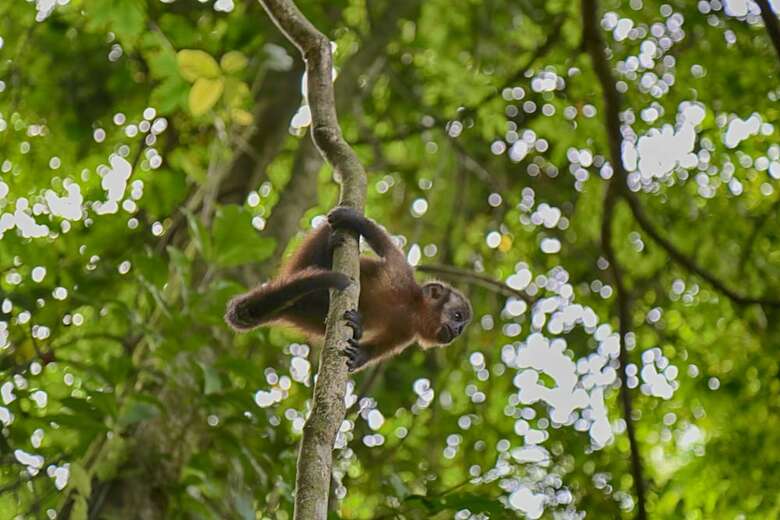 Hotel Ecoamazonia Lodge