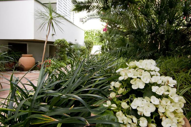 Apartamentos Hollywood
