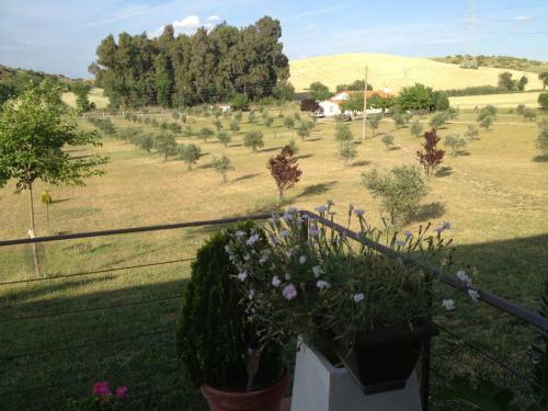Hostal La Simona