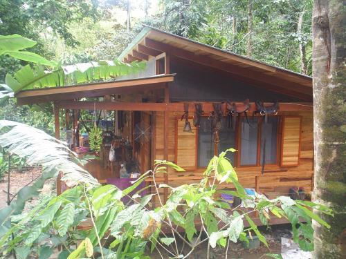 Bed & Breakfast El Tucan Jungle Lodge