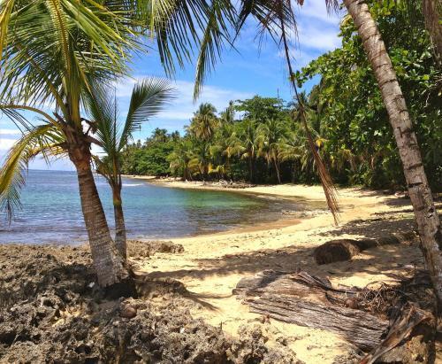 Hotel Physis Caribbean Bed & Breakfast