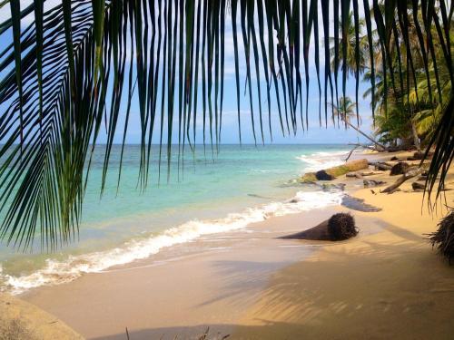 Hotel Physis Caribbean Bed & Breakfast
