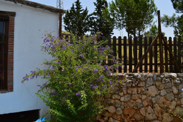 Agroturismo Cortijo Veracruz