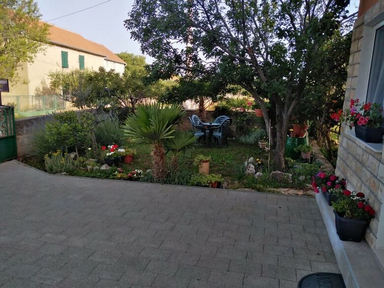 Apartment Ante