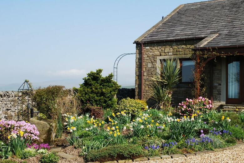 Moor View Bed And Breakfast