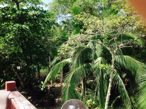 Casa Manglar