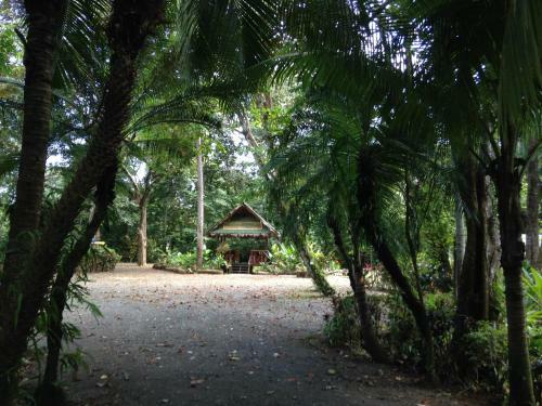 Casa Manglar