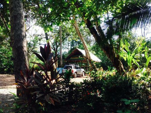 Casa Manglar