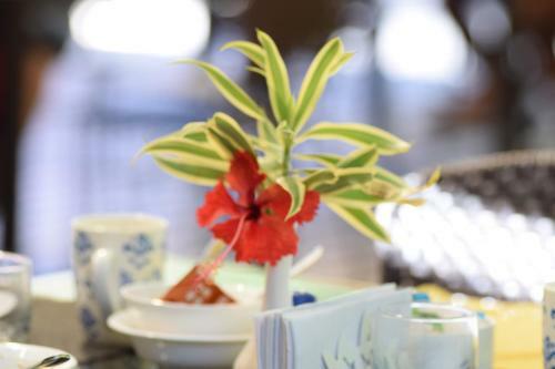 Montelaguna Boutique Hotel