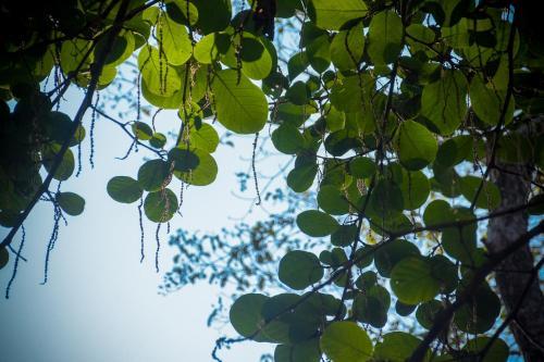 Apartamento Hotel Samara Para�so