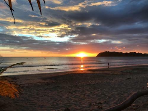 Hostal Fenix Hotel - On The Beach