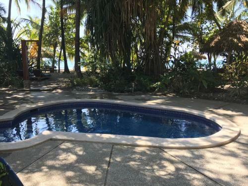 Hostal Fenix Hotel - On The Beach