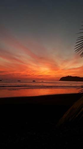 Hostal Fenix Hotel - On The Beach