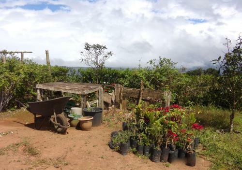 Bed & Breakfast Vista Valverde