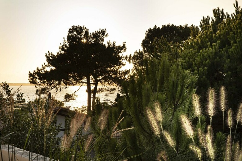 Apartamento Villa Du Pyla