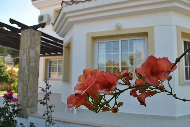 Villa Rose By Amy Villas