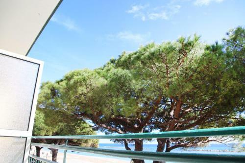 Hotel Mayola