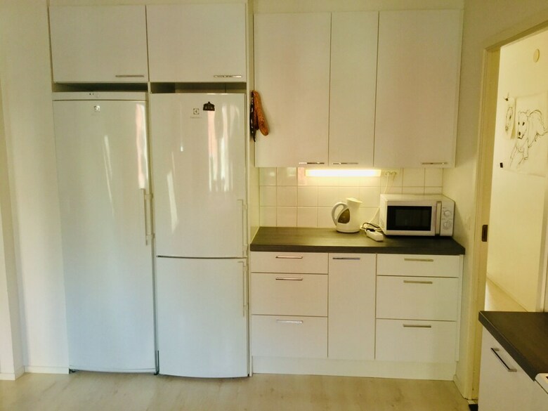 Large Artsy Apartment In Pasila