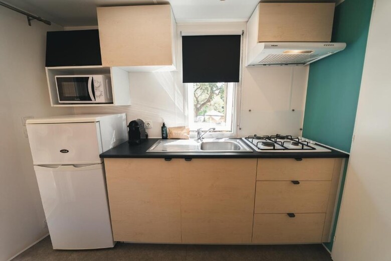 Holacamp Palam�s