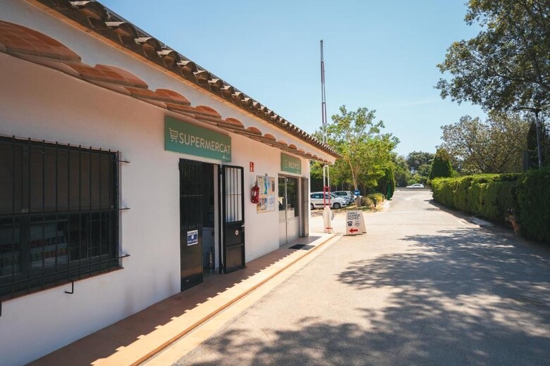 Holacamp Palam�s