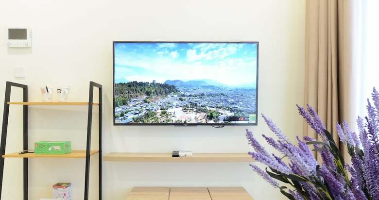 Henry Millenium Apartment Luxury 2br