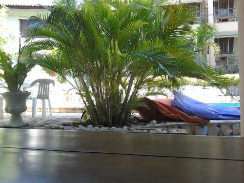 Hostal Hotel E Pousada Tropical Wind Do Cumbuco