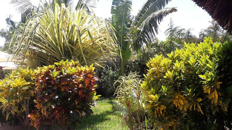 Hotel African Dream Cottages