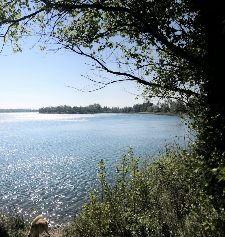 Agroturismo La Bastide O' Naturel