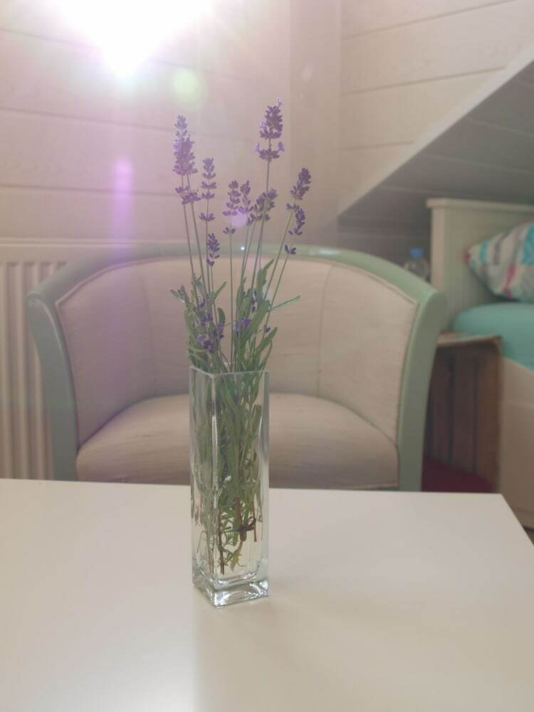 Apartamentos Bed Taste
