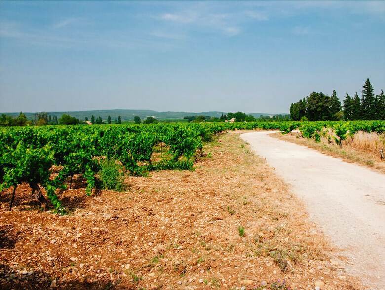 Bed & Breakfast Vents D'anges