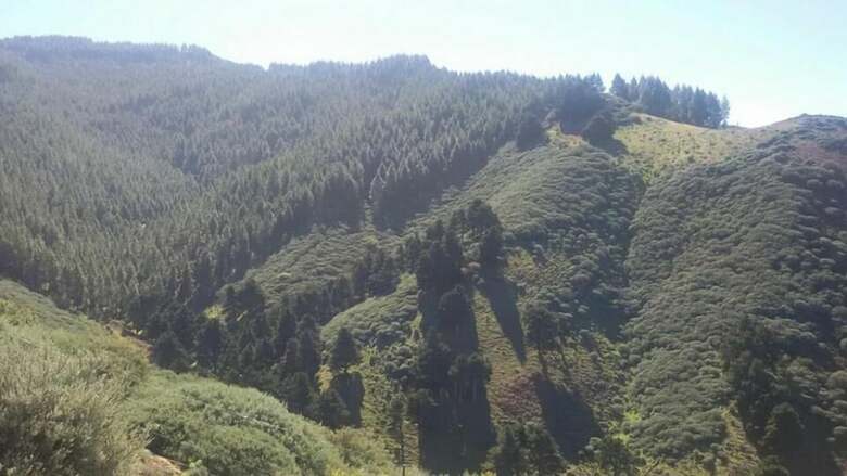 Bed & Breakfast Caba�as Valle Verde