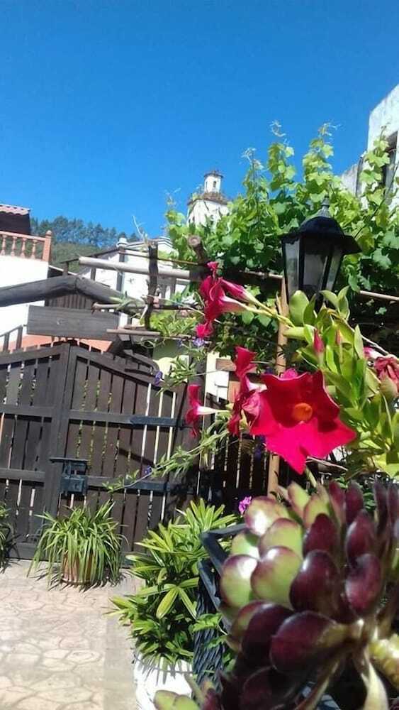 Bed & Breakfast Caba�as Valle Verde