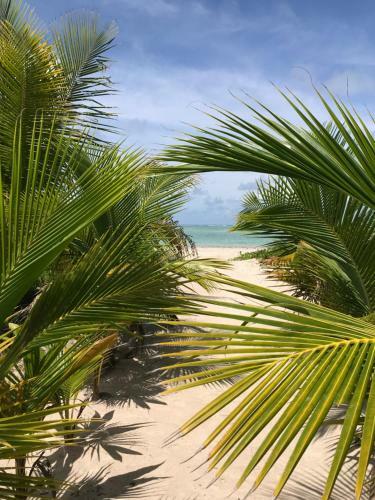 Villas Tatur�