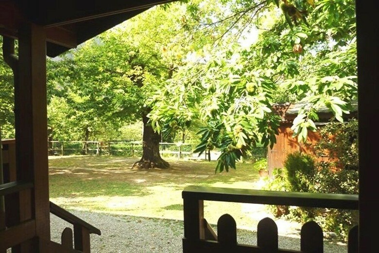 Campeggio Parco Dei Castagni Srl